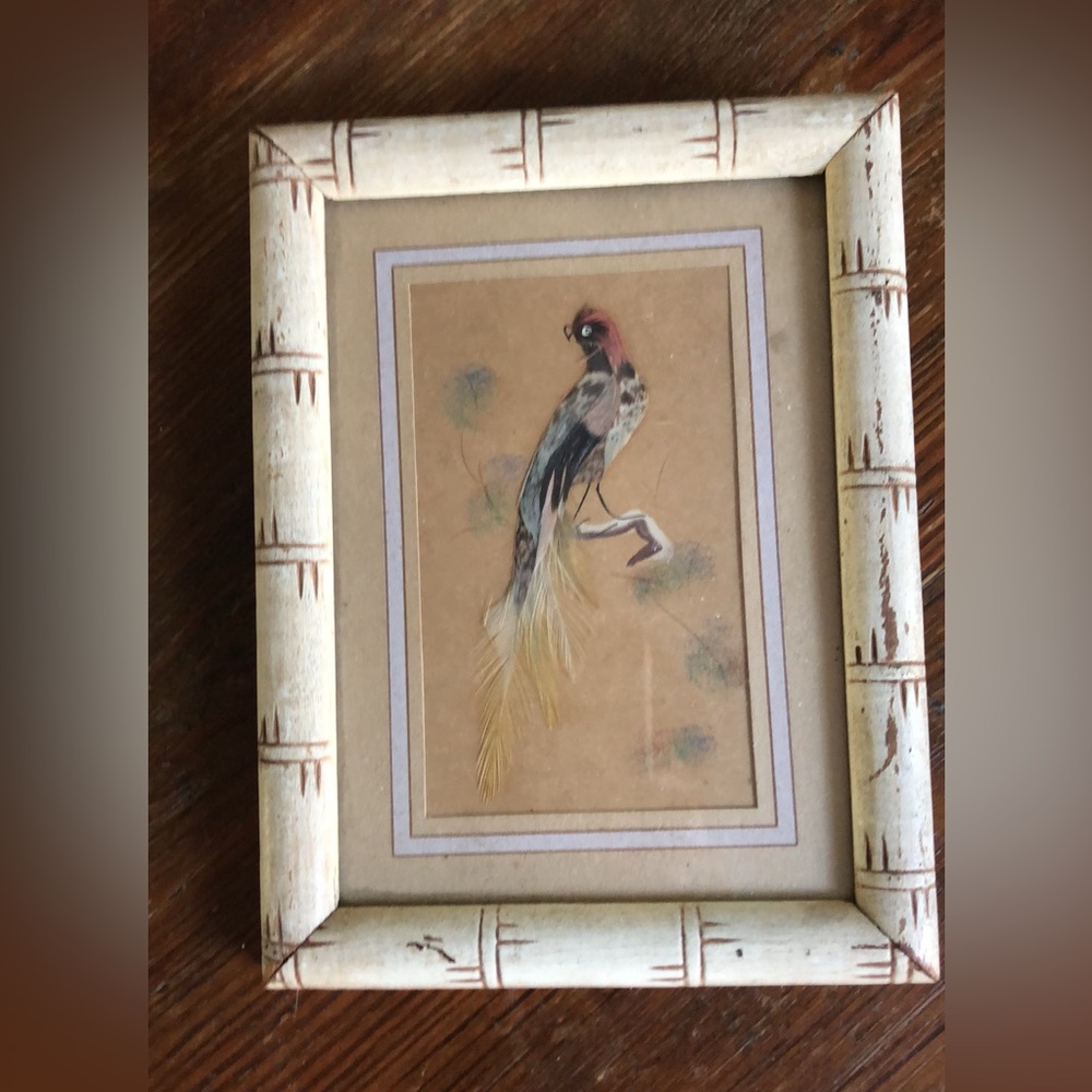 Vintage bird framed picture
